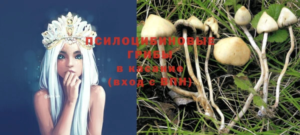 марки nbome Пролетарск