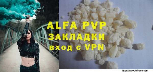 индика Козловка