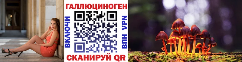 Псилоцибиновые грибы Magic Shrooms  купить наркотики цена  Михайловка 